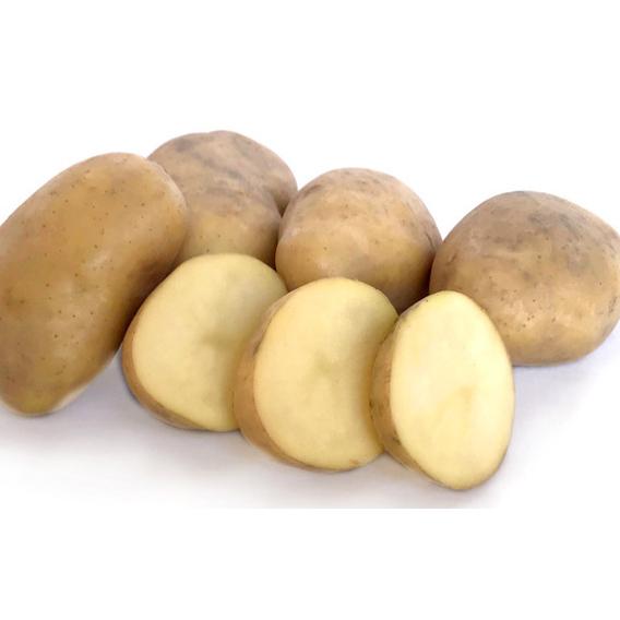 Seed Potato - Jersey Bennes 3kg
