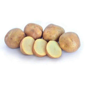 Seed Potato - Karaka 2kg