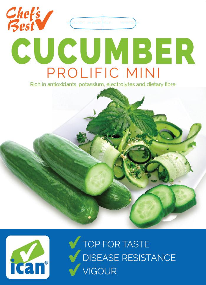 Ican Cucumber Prolific Mini
