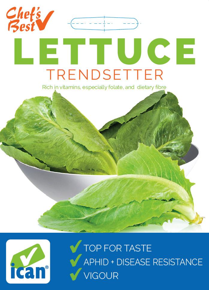 Ican Lettuce Trendsetter